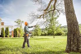 Leslie, MI Tree Care Services Company